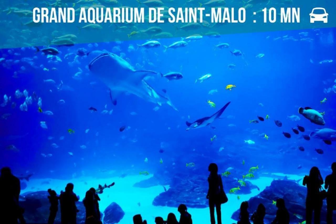 Logement Entier Saint Malo Vue Mer, Proche Ferry, Commerces Et Plage Solidor 50 M Eksteriør bilde